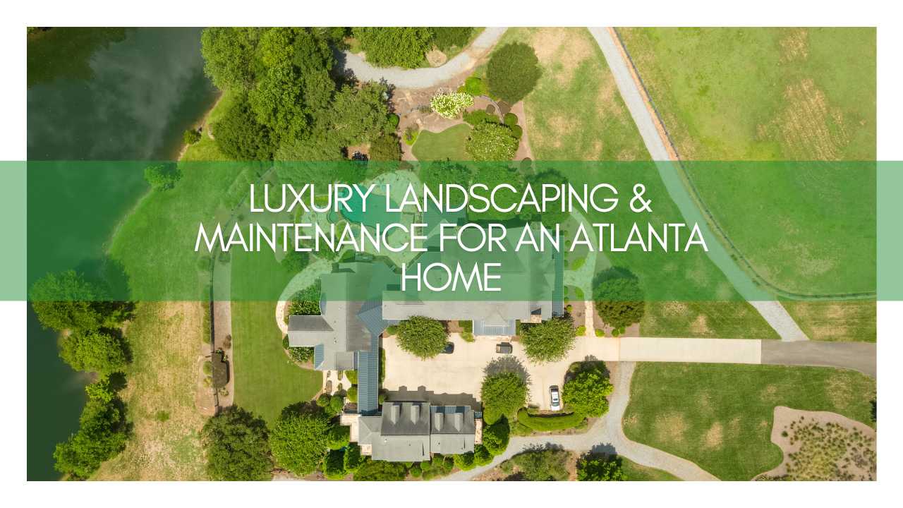 Luxury Landscaping & Maintenance for an Atlanta Home